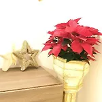 B&B Napoli Citta' 3*