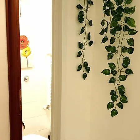 Citta' 3*