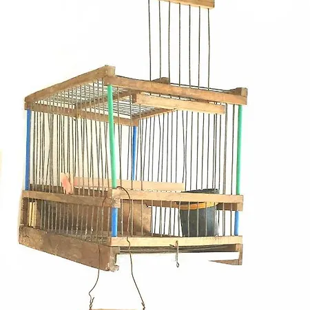 Citta Neapel