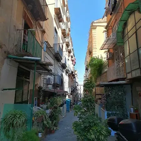 Citta فندق مبيت وإفطار 3*