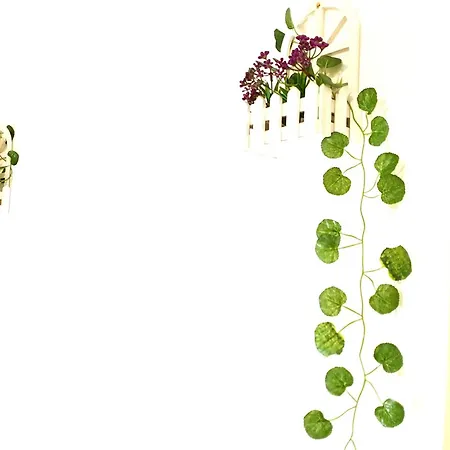 Bed & Breakfast Citta