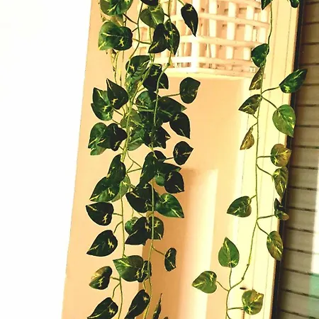 Bed & Breakfast Citta